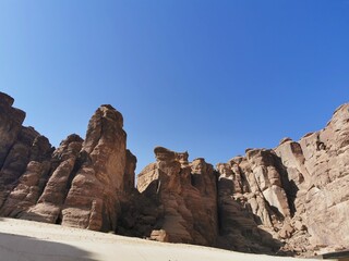 Fototapeta premium Saudi alula 