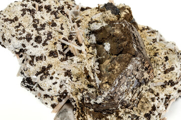 Macro stone Pyrite mineral in rock on a white background