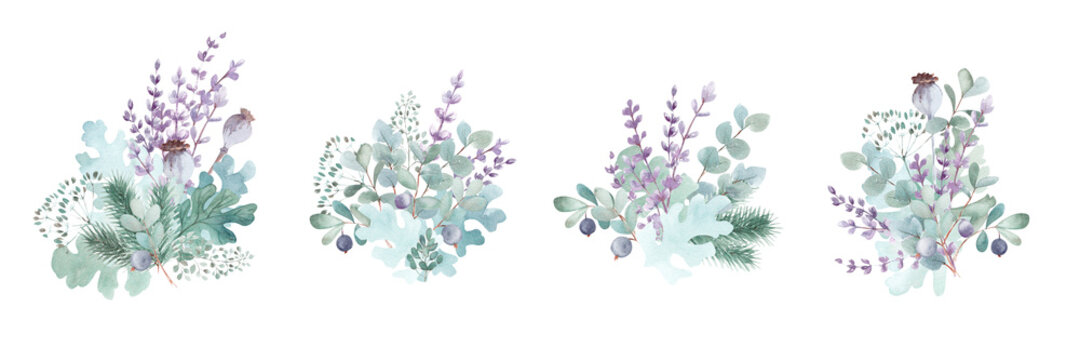 Set Of Watercolor Bouquets. Hand-drawn Lavender Flowers, Eucalyptus And Blueberry Branches, Poppy Pods, Forest Herbs On A White Background.