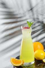 citrus and cranberries lemonade with ingredients on table. Homemade lemonade with ice. cold lemonade with fresh raspberries, mint and citrus in jug