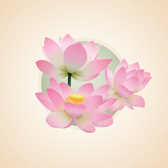 Vector pink lotus. Water lily, lotus flowers