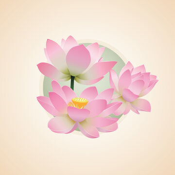 Vector pink lotus. Water lily, lotus flowers
