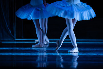 Swan Lake ballet.