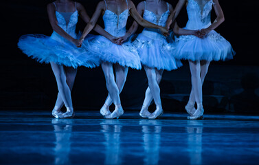 Swan Lake ballet. © Ruslan