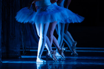 Swan Lake ballet.