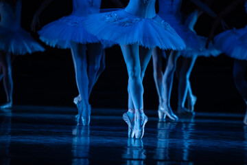 Swan Lake ballet.