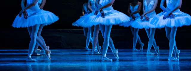 Foto op Aluminium Swan Lake ballet. © Ruslan