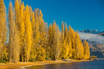 Tuinposter ニュージーランド　オタゴ地方のワナカ湖の湖畔の風景と紅葉で黄色に染まった木々 © pespiero