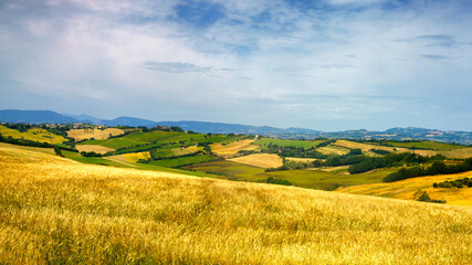 Fototapeta premium Rural landscape along the road from Fano to Mondavio, Marche