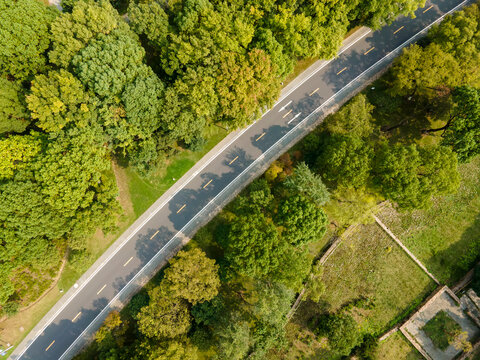 Aerial photography of China's forest road