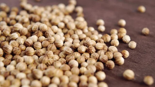 Dry cilantro seeds close up. Macro. Slow rotation. Seasoning coriander grains