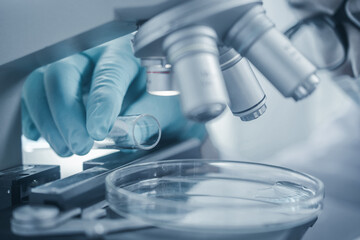Fototapeta premium Scientists studying chemical element, Laboratory research concept.