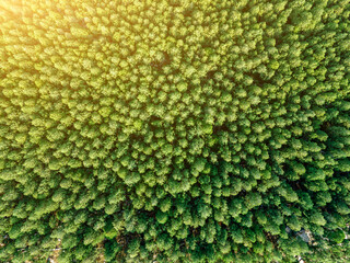 Aerial photography of natural scenery in Jinan Nanshan Park