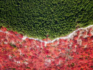 Aerial photography of natural scenery in Jinan Nanshan Park