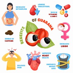 Guarana benefits infographic. Stimulant, superfood for energy boost, slimming, wellness. Vector illustration