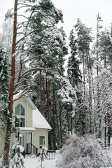 Winter landscape. Beautiful cottage on the background of snow-covered fir branches. Family house in the countryside. Christmas and New year concept. Rent a country house for a large company.