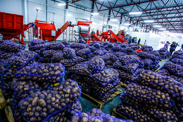 Vegetables and groceries in big warehouse