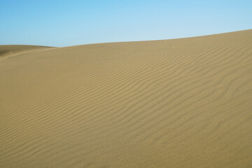 sand dunes in the desert