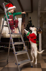 Child boy and white puppy dressed in Christmas costumes. They play together at home in front of the tree. Merry Christmas holiday concept. Happy childhood