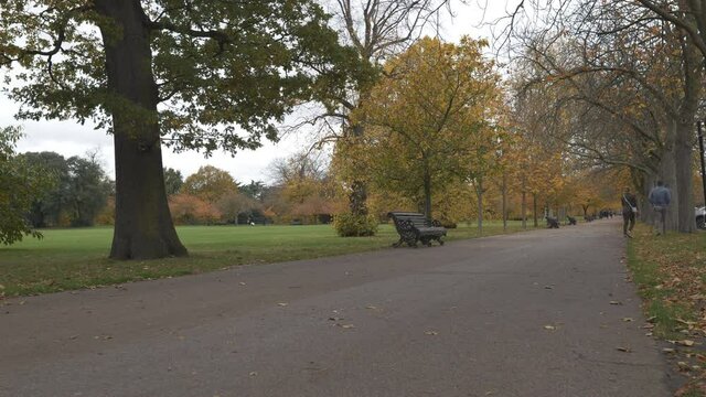 Time lapse. People strolling in autumn in a park road.