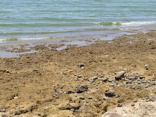waves on the sand