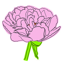 drawing of a pink peony stiltized under a sticker on a white isolated background - 469298604