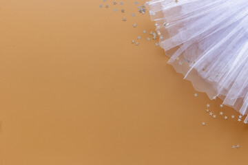 Ballet tutu skirt - dress for dancer ballerina, top view