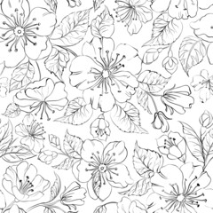 Sakura seamless pattern on white background.