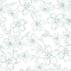 Sakura seamless pattern on white background. © Kotkoa