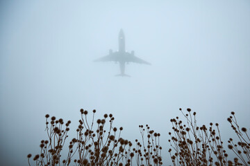 Airplane approaching for landing during gloomy autumn day. Silhouette of plane in thick fog and...