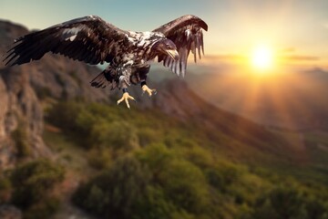 Eagle flies at high altitude with wings outstretched in the mountains.