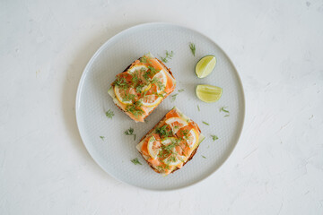 Salmon toasts on a plate on white background