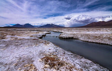 Paisaje Natural del Salar de Surire. Altiplano chileno, región de Arica y Parinacota.