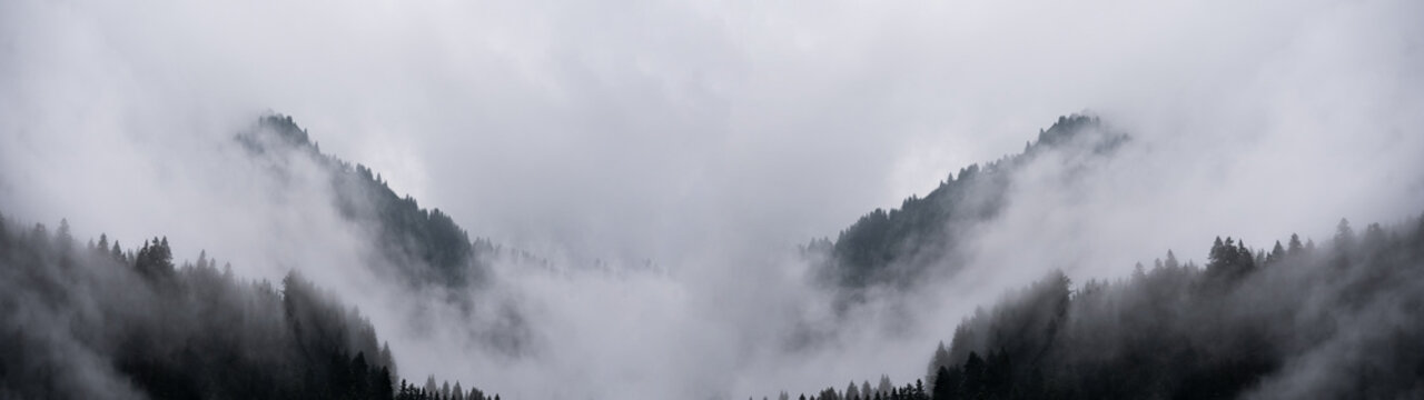 Amazing mystical rising fog forest trees landscape in black forest ( Schwarzwald ) Germany panorama banner .- dark mood