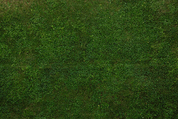 Top view of the mowed lawn
