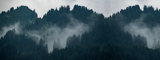 Raamstickers Verbazingwekkende mystieke stijgende mist bos bomen landschap in het Zwarte Woud (Schwarzwald) Duitsland panorama banner.- donkere stemming © Corri Seizinger