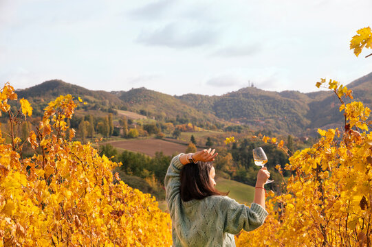 Woman with a glass of wine in the vineyards. Autumn hills in italy, tuscany. Gathering season when giving birth. Man with wine in his hands and panorama. Copy space. High quality photo