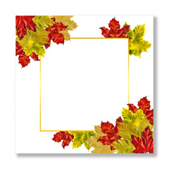 Autumn postcard, greeting, banner with bright leaves of a maple and pussy willow. Invitation to the wedding. Thanksgiving Day. Square frame 