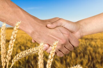 Male farmers handshake outdoor on a field