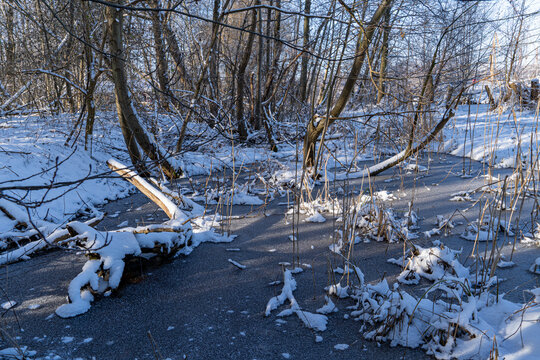 Winterspaziergang