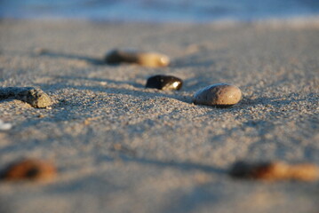 Fototapeta na wymiar Piedras en la arena 