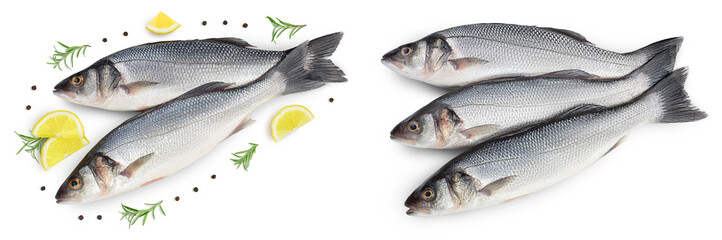Sea bass fich isolated on white background with clipping path. Top view. Flat lay. Set or collection