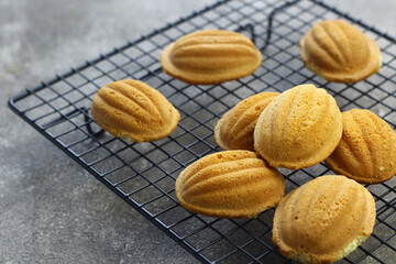 Bolu kering jadul. Kuih Bahulu or mini sponge cake, traditional old sponge cake on grey grainy background. Tea time concept. Selective focus, copy space for text. 