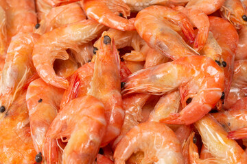 Shrimps background texture. A lot of shrimps. Cooked shrimps.