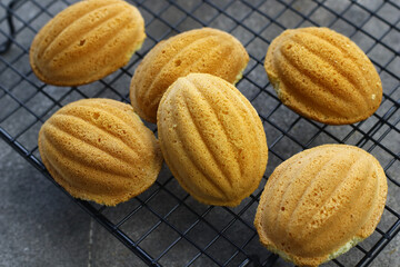 Bolu kering jadul. Kuih Bahulu or mini sponge cake, traditional old sponge cake on grey grainy background. Tea time concept. Selective focus, copy space for text. 