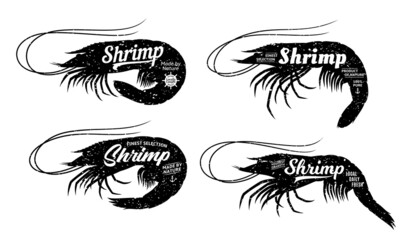 Set of seafood logo templates. Shrimps with sample text. Retro styled prawn silhouettes collection