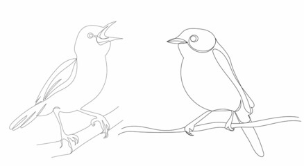 Fototapeta premium birds sitting on a branch one continuous line drawing vector, isolated