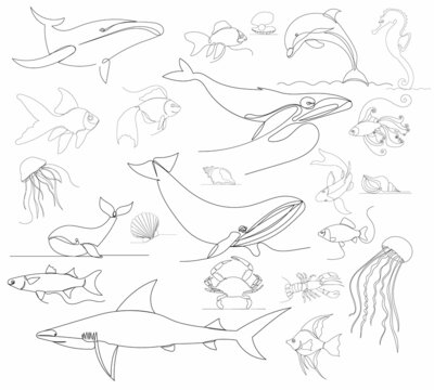 sea animals set one continuous line drawing vector, isolated