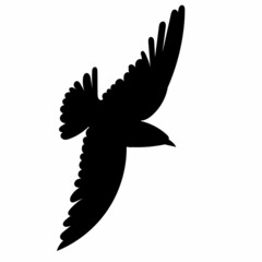 Plakat bird flies, black silhouette vector