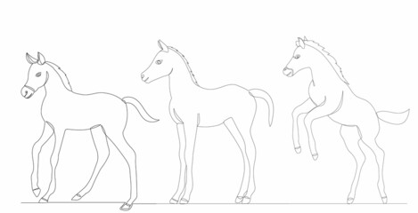 foals drawing one continuous line vector, isolated